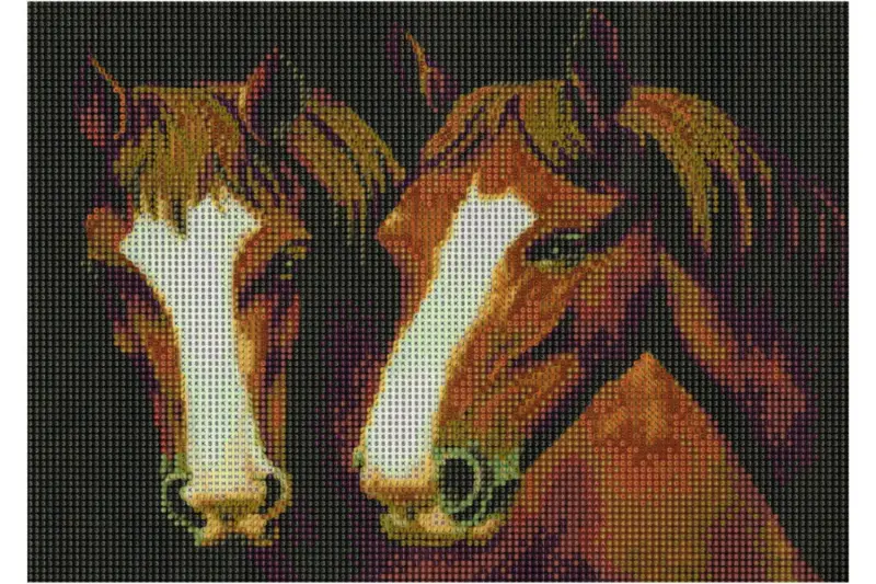 2 Pferdeköpfe von braunen Pferde Diamond Painting 20 Farben 40 x 30 cm WX849