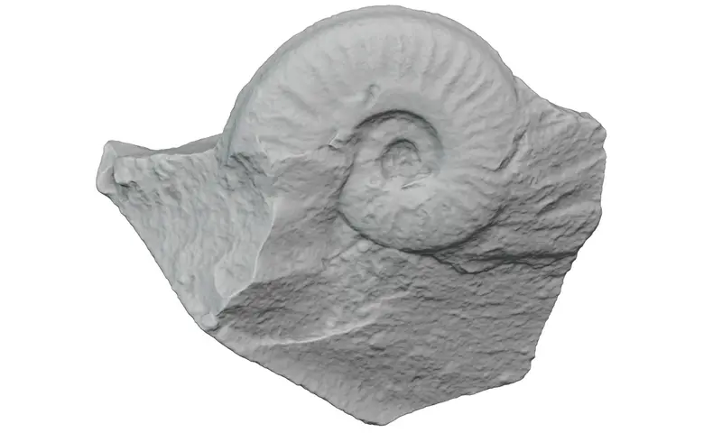 3D Scan