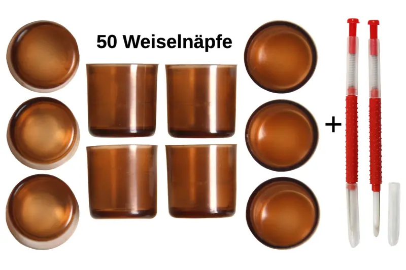 50 Stück Weiselnapf braun + 1 Umlarvlöffel für Nicot System