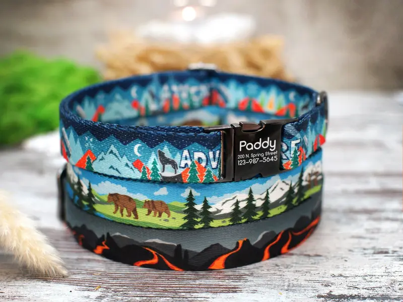 Adventure Dog Collar with Engraved Metal Buckle