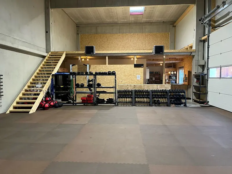 Bull - Galerie