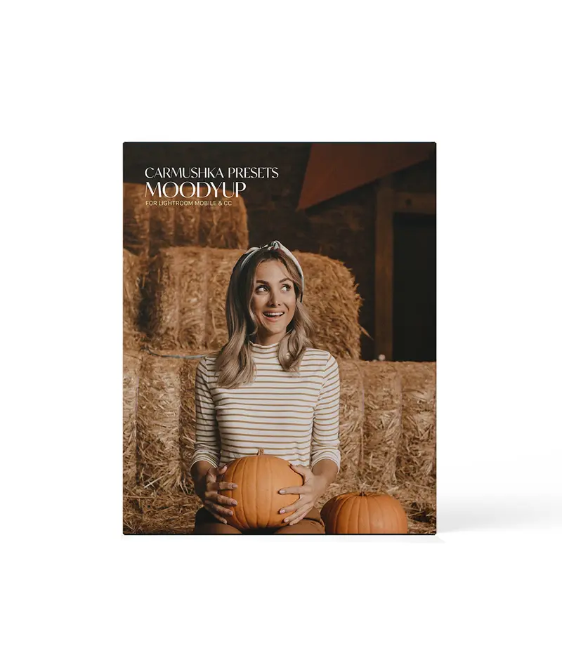 CARMUSHKA moody up preset pack