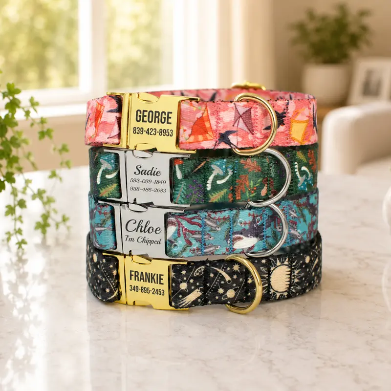 Custom Dog Collar with Engraved Metal Buckle – Space & Mushrooms Prints
