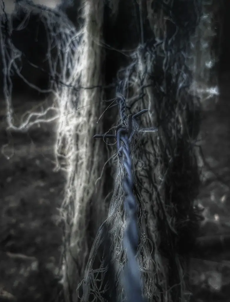 'd e a d e n d I I - things in the field XIV'