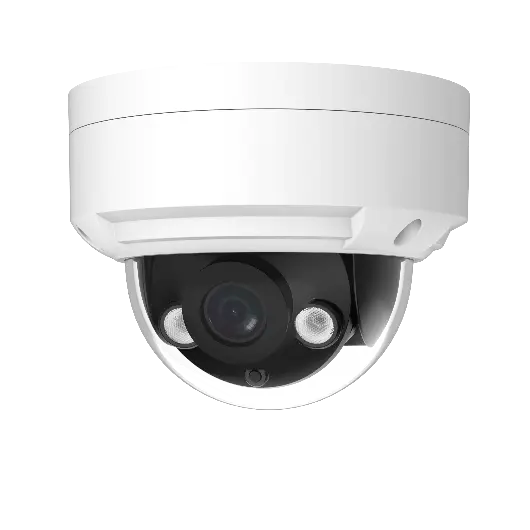 Eagle Eye Networks Kamera DD07 Outdoor Vandal Dome