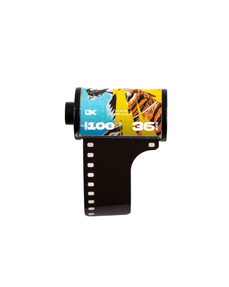 ECN-2/C-41 Softone Cinematic 100 ISO 135/36 Daylight Film