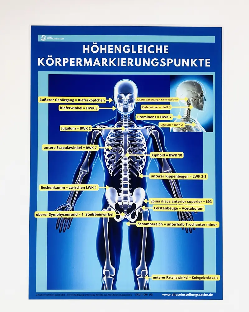 Einstellhelfer I Höhengleiche Körpermarkierungspunkte