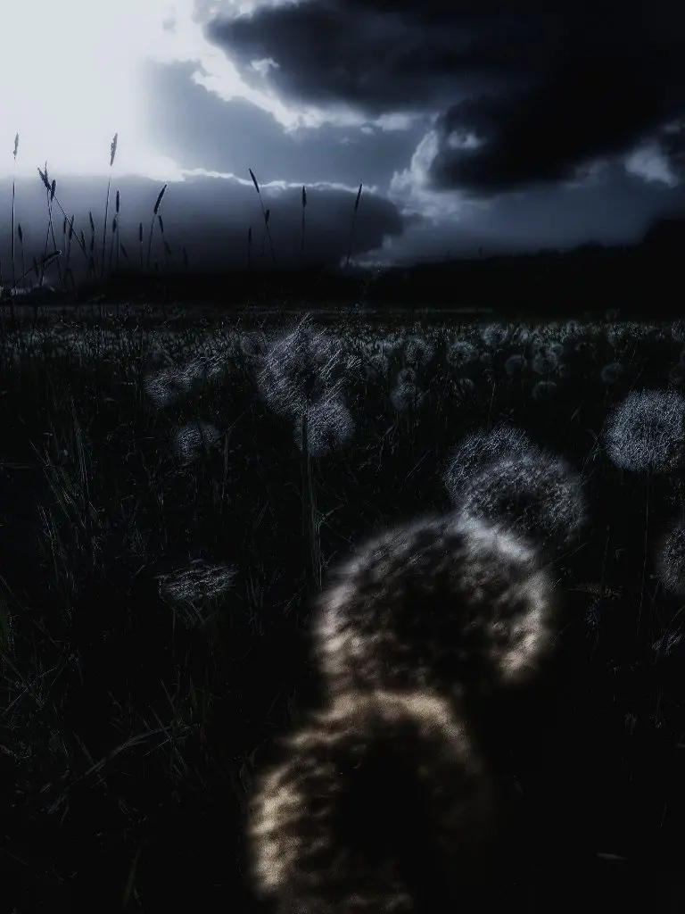 'Encounter'