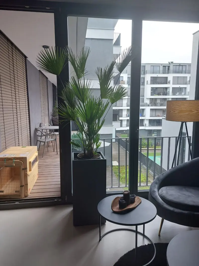 Father - Wohnzimmer