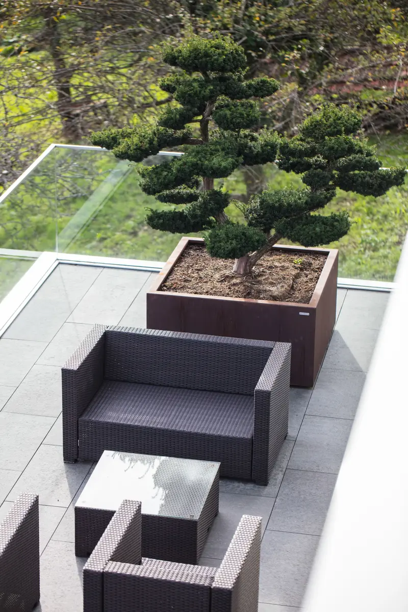 Fermin - Terrasse