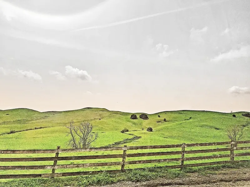 'Green Hills' Fine Art Print