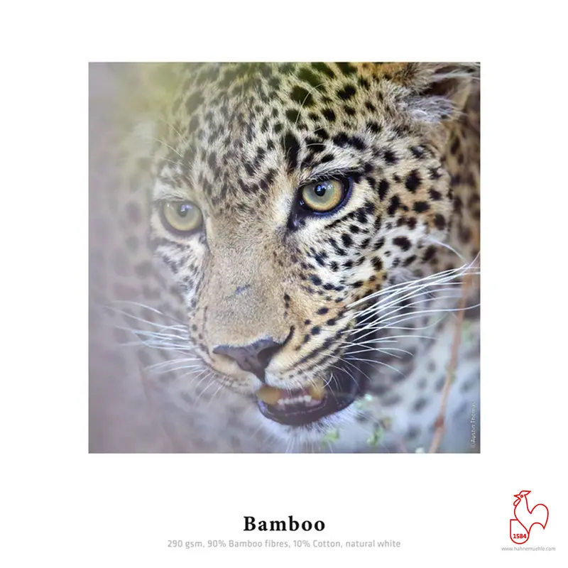 Hahnemühle Bamboo 290