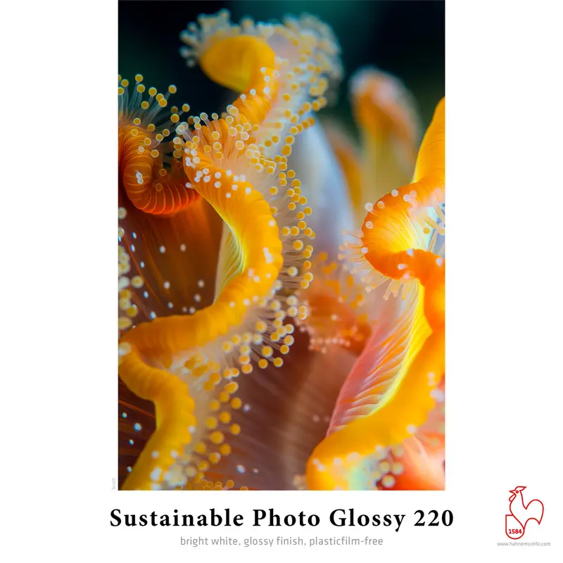 Hahnemühle Sustainable Photo Glossy 220
