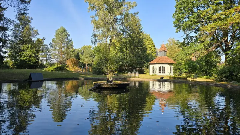 Hansi - Teich