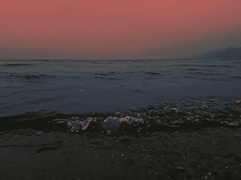 'In the evening hours'