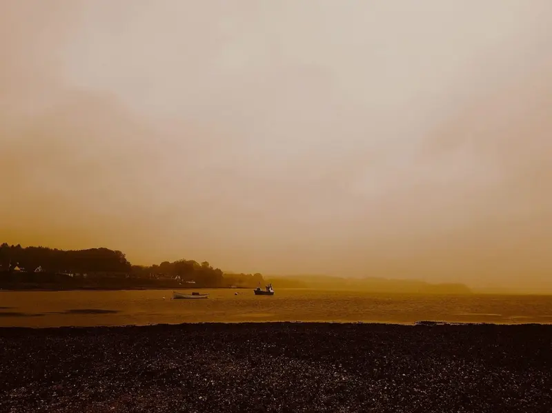 'In the morning hours'