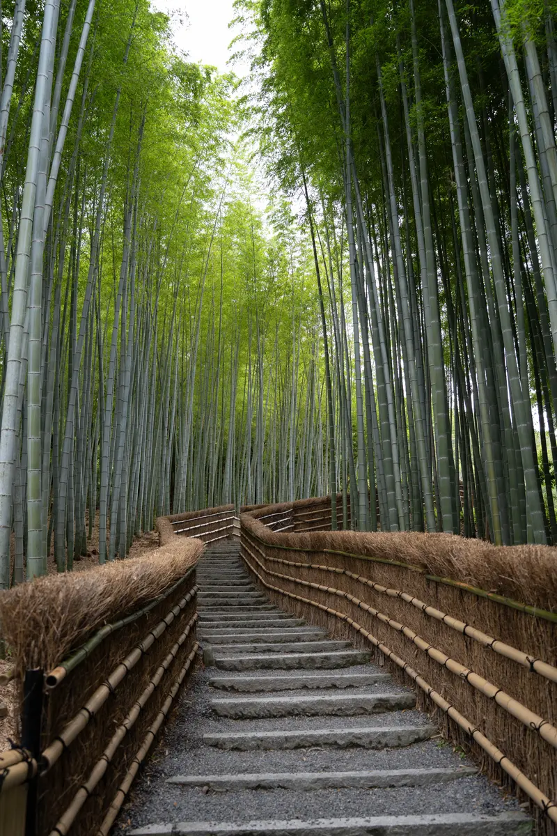 Into the Green