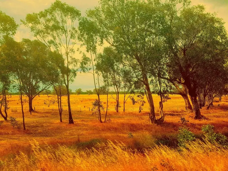 'Into the wild IV' Fine Art Print