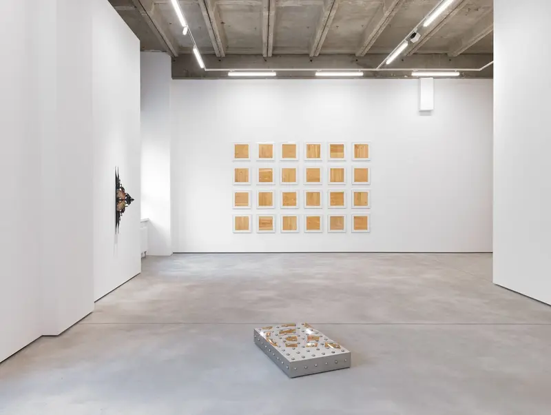 Irma - Ausstellungsfläche