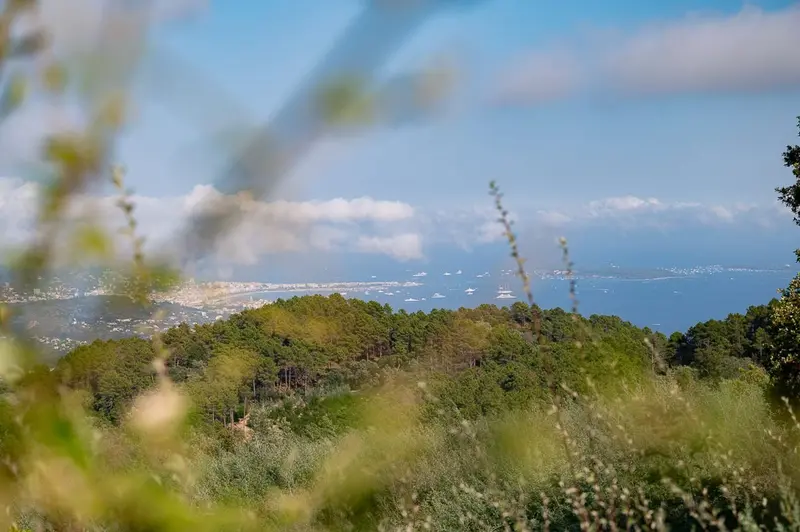 Isla - Ausblick