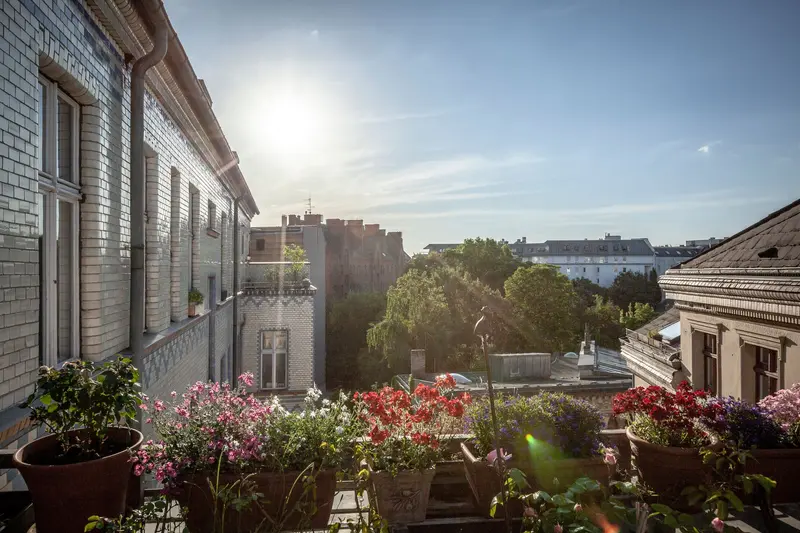 Iwona - Terrasse