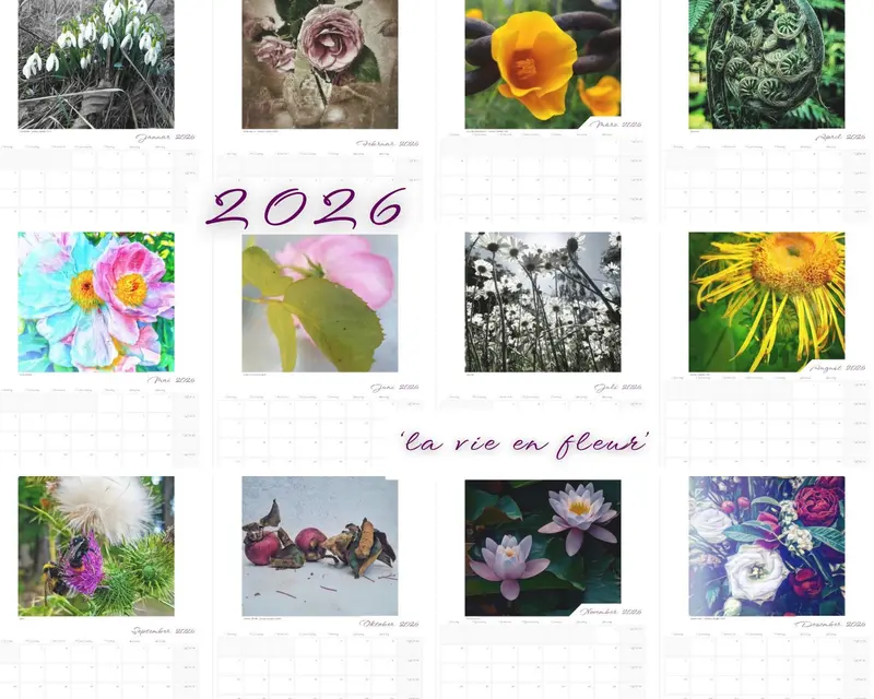 Kalender 'la vie en fleur' 2026 beschreibbar