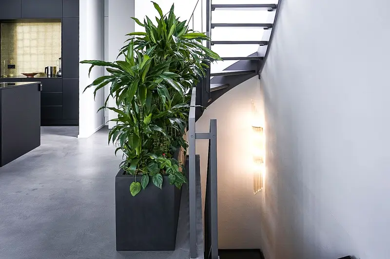 Keene - Treppe