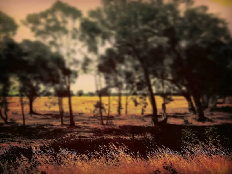 'leaving'