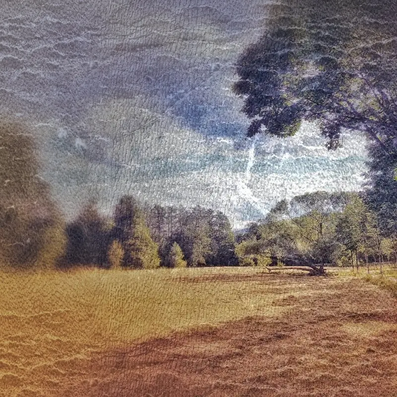 'Memories'