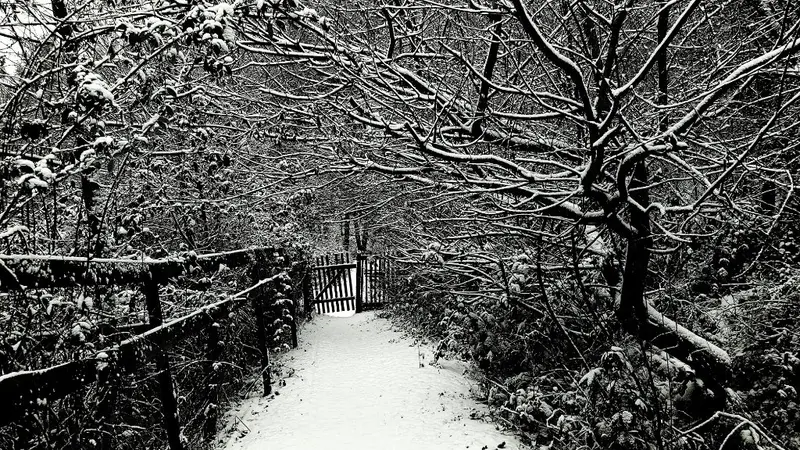 'My secret garden'