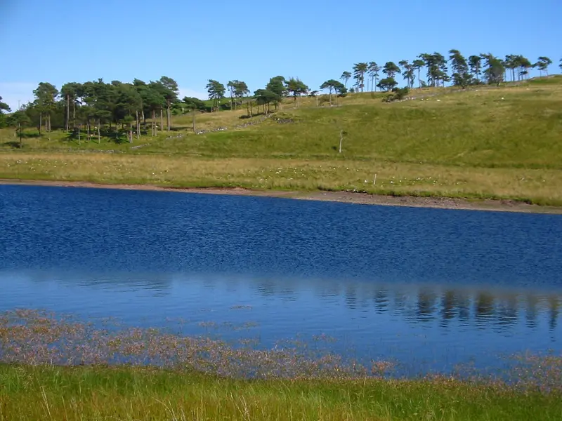 Nordmeer - Foto