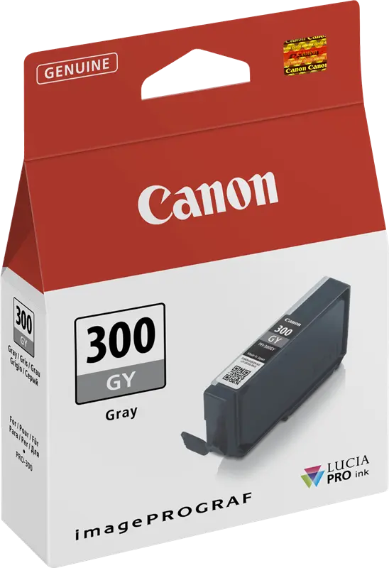 Original Canon PFI-300gy Grau Druckerpatrone 4200C001