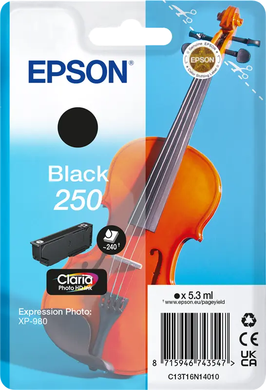 Original Epson 250 Schwarz Druckerpatrone C13T16N14010