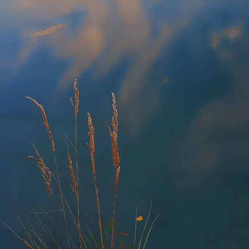 'Out of the blue'