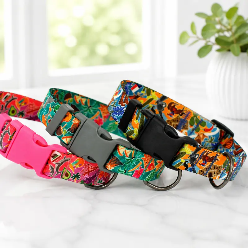 Personalized 'States Edition' Dog Collar – Lightweight Comfort & Vibrant Travel Prints
