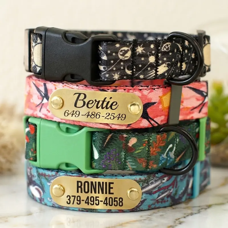 Personalized 'Whimsical World' Dog Collar – Lightweight Safety Buckle & Artisan Prints