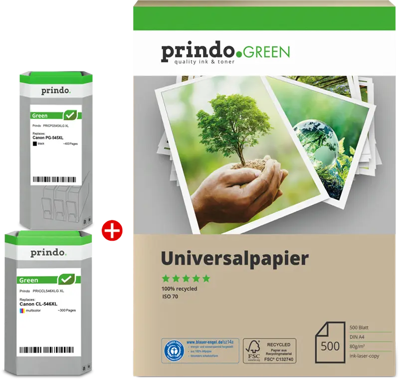 Prindo Green XL Schwarz / mehrere Farben Value Pack PRSCPG545XL_CL546XLG MCVP