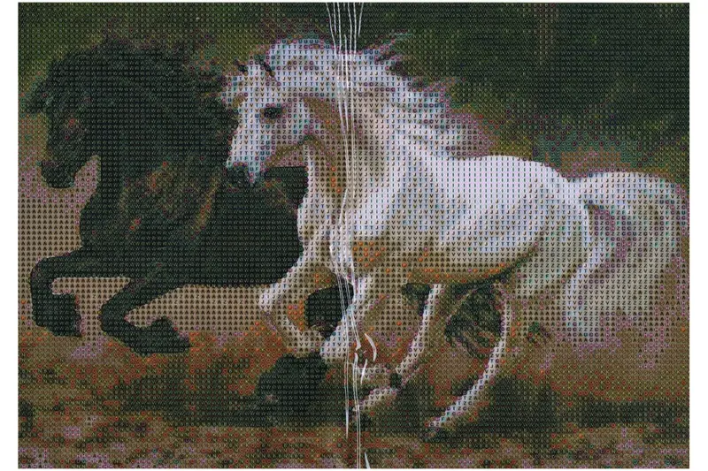 Rappe und Schimmel im Galopp Diamond Painting  19 Farben 30 x 40 cm LIY-4085