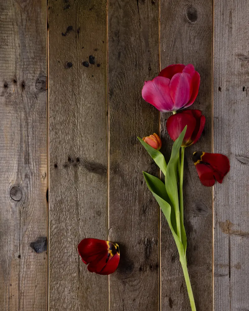 Rustic #22