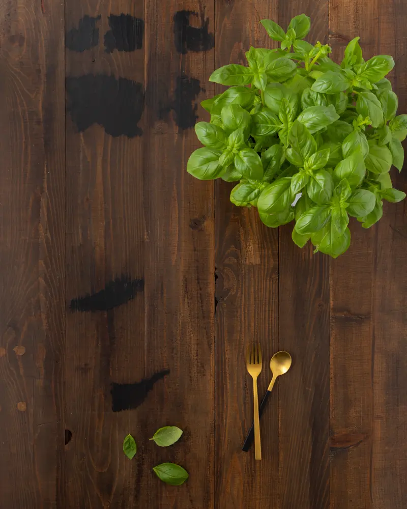 Rustic #3