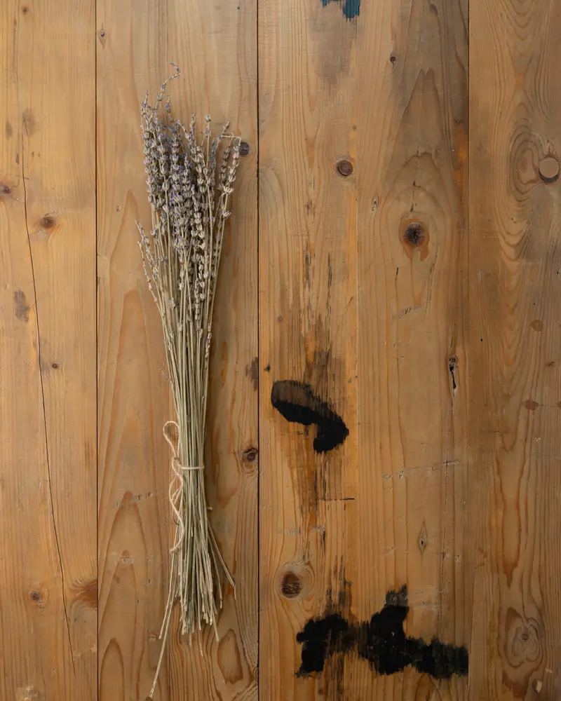 Rustic #4