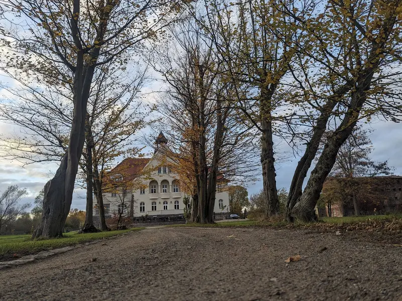 Ruth - Allee