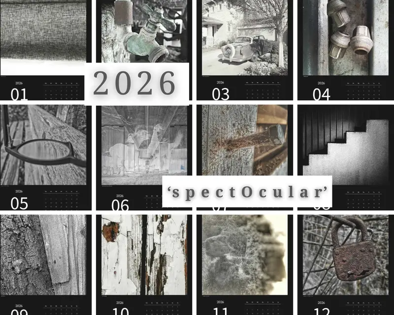 's p e c t O c u l a r' Kalender 2026 Kunstdruck