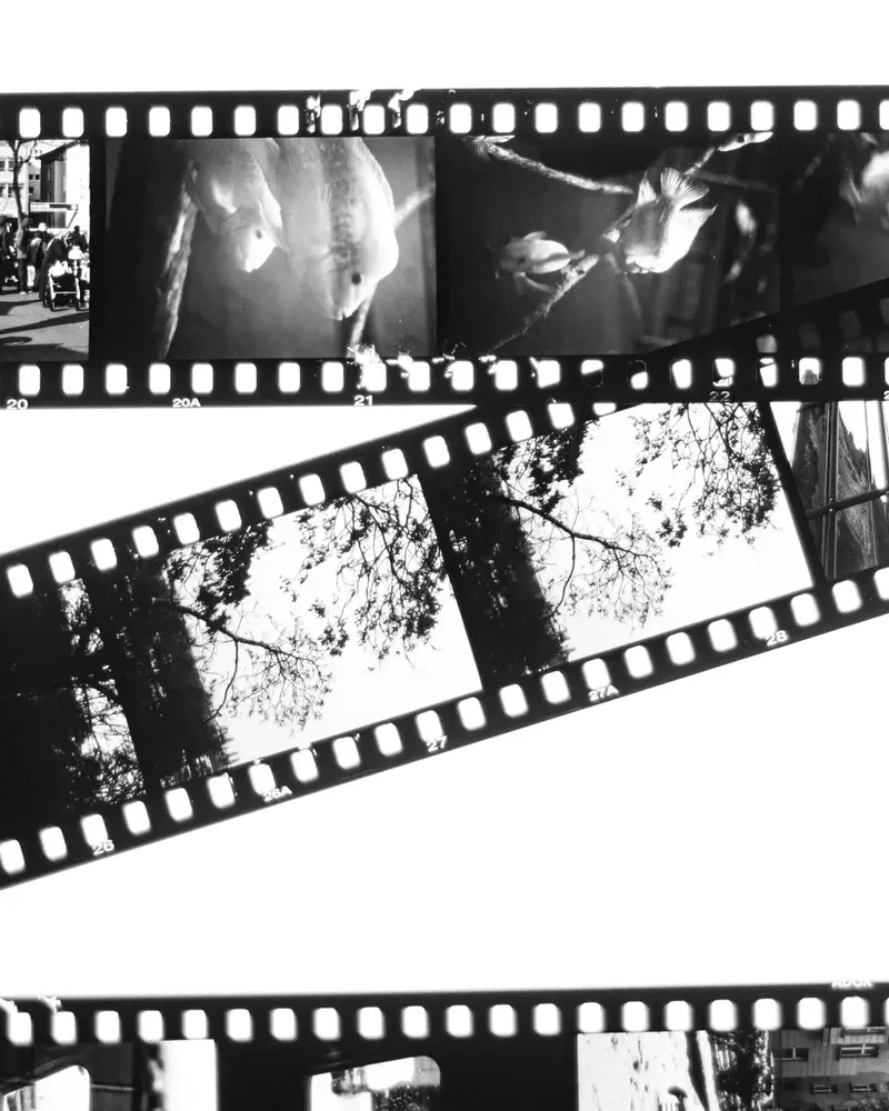 SCALA B&W Reversal Film Development & Scanning Berlin