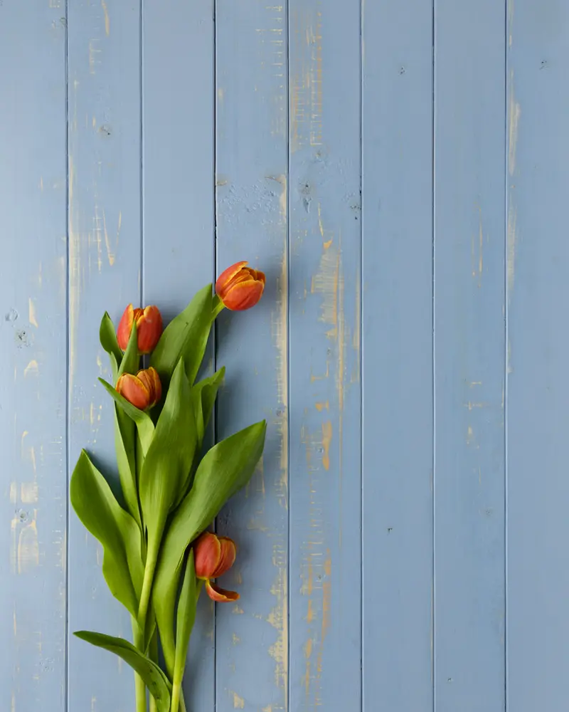 Shabby Blue L #3