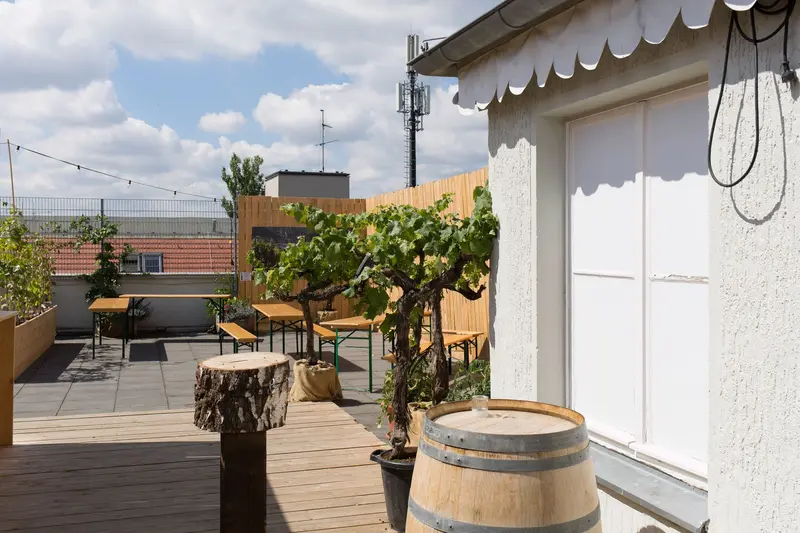 Sibyl - Dach