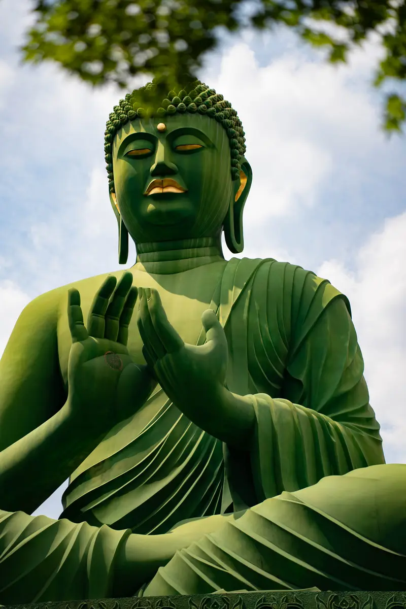 The Gaze of the Buddha
