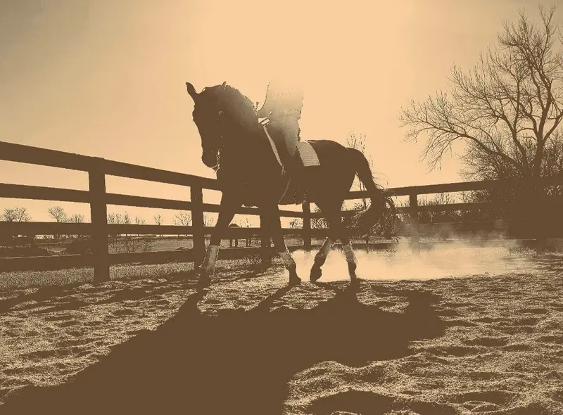 'The headless rider'