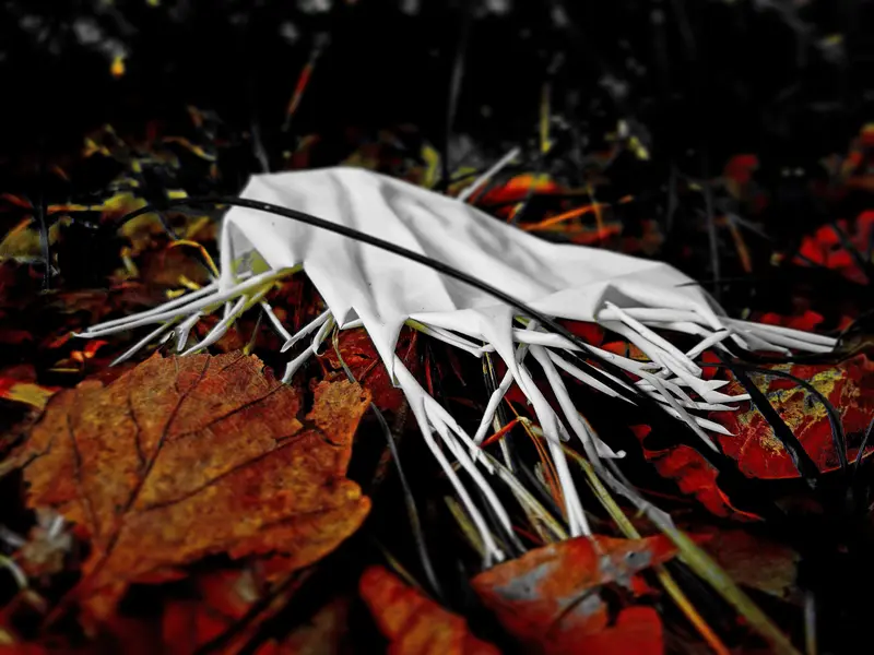 'very seldom shy Gummitierchen - things in the forest LXXVI 2'