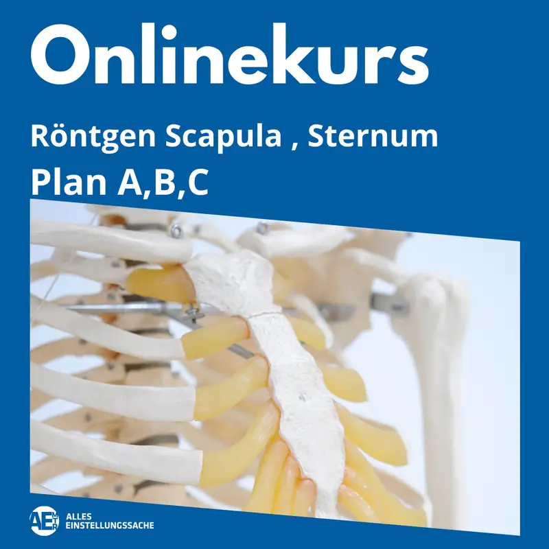Videokurse Einstelltechnik